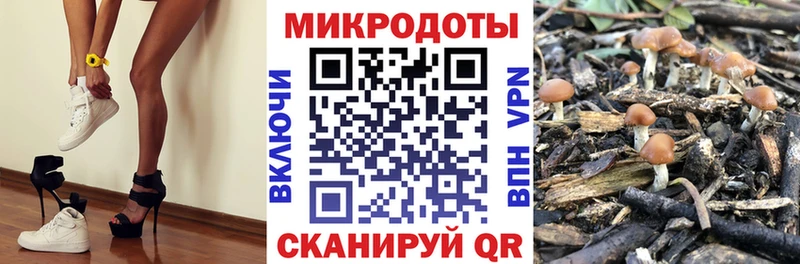 Галлюциногенные грибы Cubensis  закладки  Чудово 